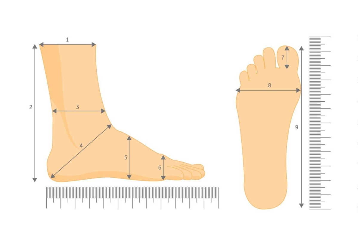 Average Shoe Size For Men Height And More Vigor Blog 2023   Average Shoe Size For Men 